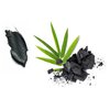 PRESS SKINCARE Bamboo Charcoal Face Mask| Mud Masks for Face | Face Masks Skincare for Men | Exfoliator, Pore Cleansing & Anti Aging Hydrating Face Masks Skin care |3.4 FL. OZ