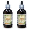 Sang Bai Pi, Mulberry (Morus Alba) Tincture, Organic Dried Root Bark Liquid Extract (Brand Name: HerbalTerra, Proudly Made in USA) 2x4 fl.oz (2x120 ml)