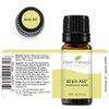 Plant Therapy Brain Aid Essential Oil Blend for Focus & Attention 100% Pure, Undiluted, Natural Aromatherapy, Therapeutic Grade 10 mL (1/3 oz)
