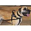 DT Universal No Pull Dog Harness, Seizure Response Service Dog, Black, Small, Fits Girth Size: 24-Inch to 27-Inch