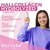 Cólageno hidrolizado - Pastillas de colágeno - Piel, arrugas y antienvejecimiento – Fortalecimiento del Cabello y uñas – Dolor en articulaciones – Collagen HYDROLIZED Plus Vitamin C 1000 MG 60 Cap
