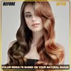 Hair Dye Shampoo 3 in 1, Herbal Shampoo Hair Dye for Women Men, Grey Coverage Shampoo 16.9fl oz (Chestnut Brown)