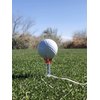 VISUALIZE Beak Eco Tee – Reusable Magnetic Golf Tee for Enhanced Drive Distance & Iron Shot Precision (5-Pack) Red, Blue