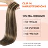 XDhair Clip In Hair Extensions Remy Human Hair Medium Brown #4 Mixed to Caramel Blonde #27 Clip In Real Hair Silk Stright 120g 6Pcs (#4P27,18Inch)
