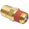 Control Devices-M2525-1WA Brass Ball Check Valve, 1/4" NPT Male