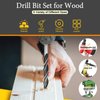 Rustark 23 Pcs Wood Drill Bit Set with Dowel Pins Center Point and Stopper, Woodworking Brad Point Bit Set Plugs Drill Hole Tool Perfect for Woodworking Carpentry Drilling