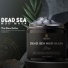 INFINA ESSENTIALS Dead Sea Mud Mask for Face & Body - Premium Natural Skin Care for Men & Women - Pore Reducer Mud Mask for Blackhead & Acne - Revitalizing & Hydrating - 8.8 oz