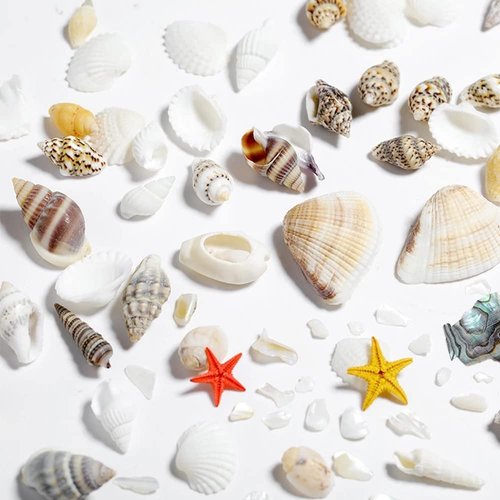Summer Nail Art Rhinestones, 2 Boxes Tropical Ocean Nail Charms Shell Starfish Conch Sea Series 3D Beach Nail Design Accessories Manicure DIY Seashell Nail Decoration for Women Girls