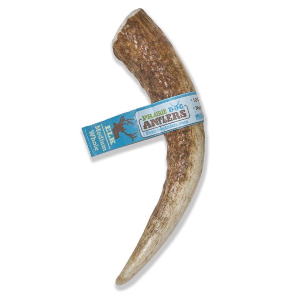 Prairie Dog Pet Products Colossal Elk Antler Treat