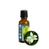 30ml (1oz) Neroli (Citrus Aurantium, Orange Blossom) Essential Oil - 100% Pure, Undiluted, Uncut for Skin Care, Aromatherapy, Massage