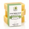 Southern Natural Goat Milk Soap Bar - 3 Pack Rosemary Mint - For Eczema, Psoriasis & Dry Sensitive Skin. Natural Soap For Men, Women, Kids & Baby. Great For Face & Body. Handmade In USA.