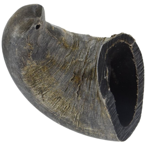 QT Dog - Buffalo Horn Small