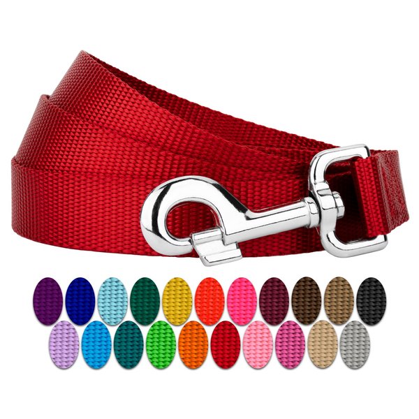 Country Brook Petz - Nylon Dog Leash - Strong, Durable, Traditional Style Leash with Easy to Use Snap - 25+ Colors (5/8 Inch Wide, 4 Foot, Red)