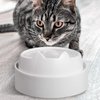 CatGuru Food Table for Cat Bowl, Non Slip Pet Feeding Station for Cat Food Bowls, Raised Stand for Food and Water Cat Bowls, Elevated Cat Feeder, Stress Free Pet Dish Stand (Marshnallow)