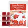 Scentsationals Wax Melts, Wax Cubes Strong Scent - Strawberries & Cream - Long Lasting Scented Melts for Warmer, 10oz (24-Cubes)