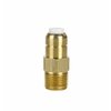 Giant 3/8" NPT Thermal Relief Valve for Pressure Washer Pump