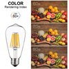 SHUWDKAR LED Light Bulbs DC 12V 6W E26 ST64 Low Voltage Bulb RV Camper Warm White 2700K Vintage Clear Glass Filament Edison Bulbs Equivalent 75W Halogen Marine Boat Solar 12V Battery Lighting,2 Pack