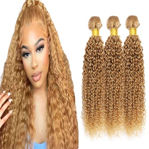 Color 27 Honey Blonde Bundles Human Hair Blonde Kinky Curly Bundles 22 24 26 inch Double Weft Color 27 Bundles Hair Weave Curly Wave Bundles Brazilian Virgin Remy Hair Extensions