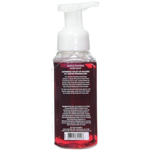 Bath & Body Works Gentle Foaming Hand Soap 'Tis The Season by Bath & Body Works