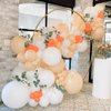 Pastel Orange Balloons 84 pcs Peach Balloons Garland Arch Kit 5 inch +12 inch +18 inch Pastel Orange Balloons Happy Birthday Balloons Baby Shower Decorations Wedding Balloons