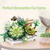 Building Blocks for Adults- Succulent Building Toys, Bonsai Botanical Collection Toy Building Sets, Plants and Flowers DIY Home Decoration, Gifts for Women Kids (Not Compatible with Lego)