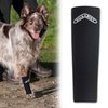 WALKABOUT Compression Sleeve for Dogs, Canine Leg Brace to Heal Wounds, Hygromas, Treat Arthritis and Injury with 360° Support Sleeve for Pain Relief, and Elbow Pad Protection