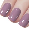 Vishine Gelpolish Gel Nail Polish Lacquer Shiny Color Soak Off UV LED Professional Manicure Taupe (1579)