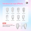 SAVILAND 15ml Glitter Silver Cat Eye Gel Nail Polish Castor Oil Vitamin E: Cateye Gel Polish Soak Off U V LED Nail Lamp Reflective Shining Magnetic Gel Nail Polish Nail Art Magnet Home DIY Nail Salon