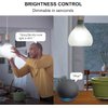 Sengled Alexa WiFi Light Bulb - Smart Bulbs That Work with Alexa/Google Assistant, A19 Daylight (5000K) - No Hub Required, 800LM 60W High CRI)60 Equivalent, 4 Count (Pack of 1)