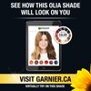 Garnier Olia Ammonia Free Permanent Hair Color, 100% Gray Coverage (Packaging May Vary), 8.0 Medium Blonde, Pack of 1