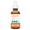 Renew Actives Vitamin C Face Serum – Anti-Aging Serum with Vitamin C, Hyaluronic Acid and Retinol for Wrinkles, Fine Lines and Dark Spots – Organic Aloe Vera Serum for Face, 2 fl oz Bottle