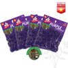 1000 Pcs Rubber Bands Hair Band Soft Elastic Hair Accessories Braids Mini Hair Ties Stretchy Hair Ties No Damage Rubber Bands for Hair Made in Vietnam (Purple - 4 Pack of 250 Pcs)