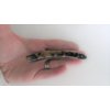 Generic Slim black and brown marbled banana hair claw clip for fine hair