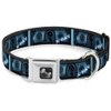 Buckle-Down Seatbelt Buckle Dog Collar - $1 Bill X-Ray - 1" Wide - Fits 9-15" Neck - Small