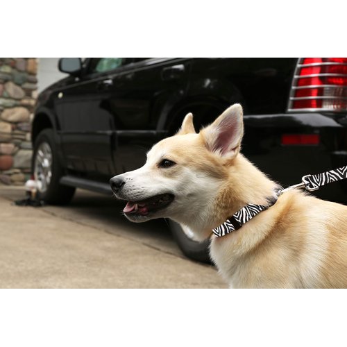 Moose Pet Wear Dog Collar - Patterned Adjustable Pet Collars, Made in the USA - 1 Inch Wide, Medium, Tie-Dye