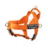 Dean & Tyler DT Universal No Pull Dog Harness with Therapy Dog in Training Patches, Orange, X-Small