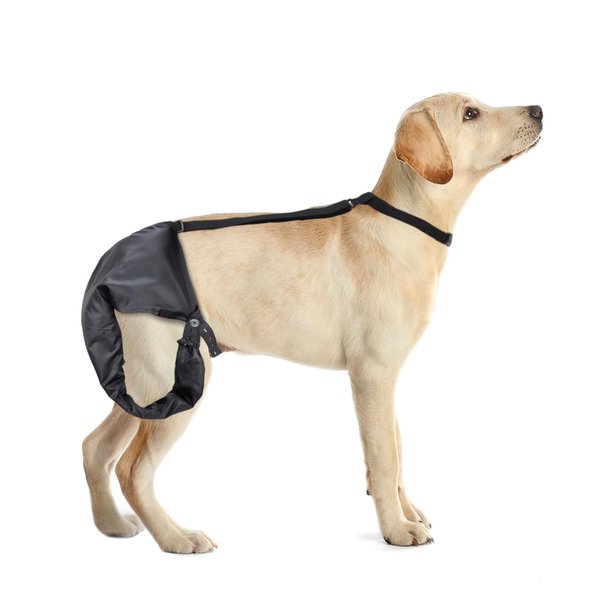 YUYUSO Dog Tail Guard Dogs Tail Protector Bag Dogs Tails Heal Sleeve for Dog Happy Tail Syndrome Happy Tail Solution