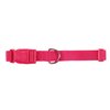 Zack & Zoey ⅝" Wide Nylon Dog Collar, Fits Necks 14" to 20", Raspberry Sorbet