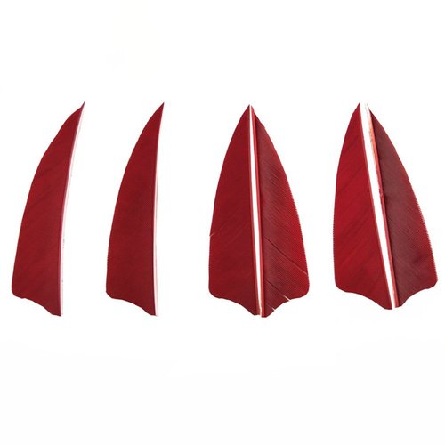 MILAEM 50 Pcs Turkey Feather Fletching 3 Inch Right Wing Arrow Feathers Vanes(Red)