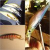 wLure 10 Blank Unpainted Minnow Crankbait Topwater Lipless Jerkbait Fishing Lures V3 (UPM431P10)