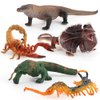 Fantarea 5 PCS Wild Life Jungle Animal Action Figures Model Goanna Chameleon Lizard Scorpion Scolopendra Party Favors Supplies Cake Toppers Set Toys for 5 6 7 8 Years Old Boys Girls Kid Toddlers