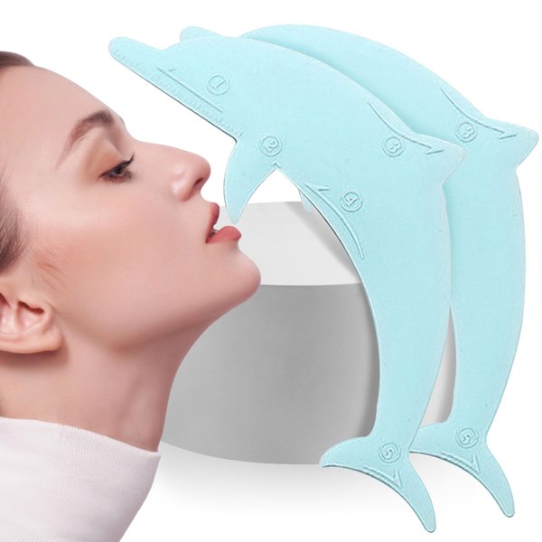 Caliee 2Pcs Eyeliner Stencils Eye Makeup Tools Dolphin Winged Eyeliner Tool Blue Eyeliner Applicator Tool Makeup Stencil