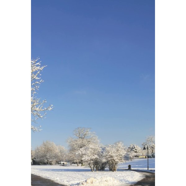 Libreta con papel de parque nevado: A5, a color (Libretas con papel pintado) (Spanish Edition)