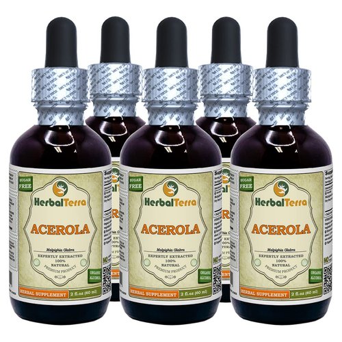 Acerola (Malpighia glabra) Tincture, Organic Dried Berry Liquid Extract (Brand Name: HerbalTerra, Proudly Made in USA) 5x2 fl.oz (5x60 ml)