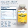 SOLARAY Mega Vitamin B-Stress, Timed-Release Vitamin B Complex with 1000 mg of Vitamin C for Stress, Energy, Red Blood Cell & Immune Support, Vegan, 60-Day Guarantee, (240 CT)