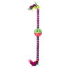 Bow Wow Feather Teaser Cat Toy