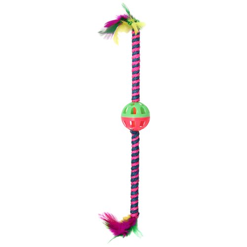 Bow Wow Feather Teaser Cat Toy