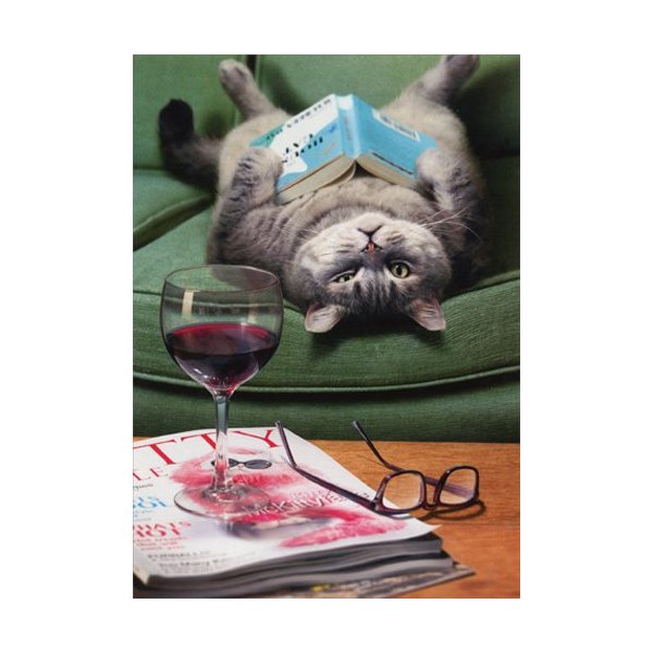 Upside Down Cat Reading Book - Avanti Funny Mother's Day Card
