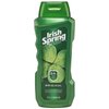 Irish Spring Body Wash, Original, 18 Fl Oz (Pack of 1)