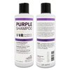 COCO-HONEY Purple Shampoo for Blonde Lightening Color Treated Hair Silver and Gray Highlighted Hair/Paraben Free/Cruelty Free/Sulfate Free/Safe for Color-Treated Hair 8 oz